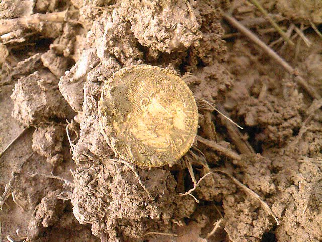 monnaie romaine trouvé dans une foret landaise