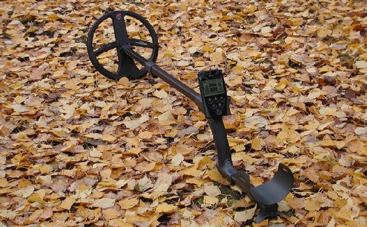 détecteur de métaux Deus XP posé sur des feuilles mortes dans une foret