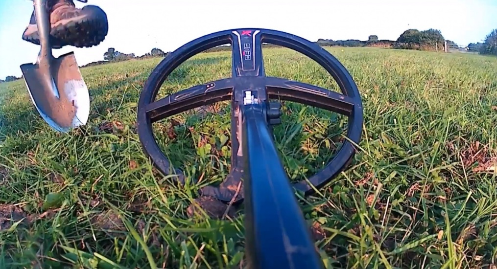 image d'un disque de détection d'un Deus XP sur une prairie