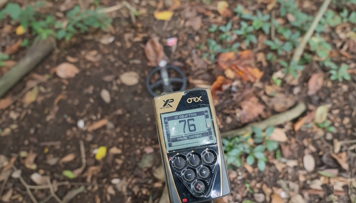 détecteur ORX utilisé dans un bois