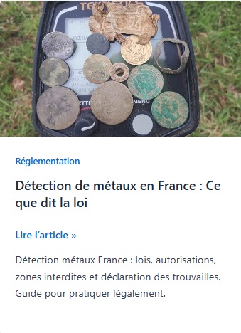 vignette article Détection de métaux en France : Ce que dit la loi